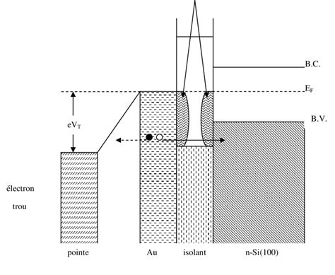 Schéma illustrant l'effet isolant des aiguilles de pin