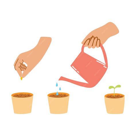 Illustration montrant les étapes de plantation d'un géranium en pleine terre : trempage du godet, creusage du trou, ajout de terreau et billes d'argile, positionnement de la plante, remblai et arrosage.