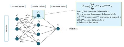 Schéma d'un réseau de mycélium