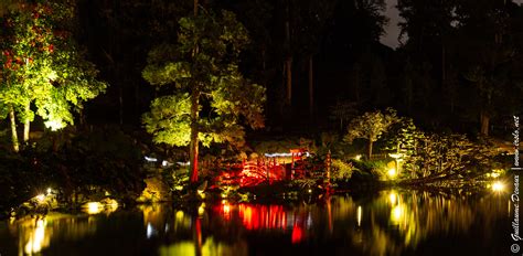 Parc Oriental de Maulévrier la nuit