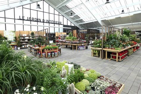 Rayon plantes d'intérieur dans un magasin de jardinage