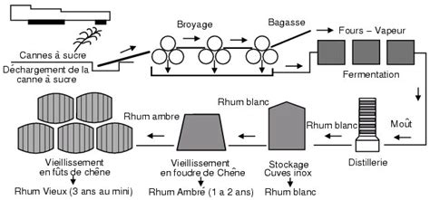 Schéma du processus de fabrication du rhum, de la canne à sucre au vieillissement