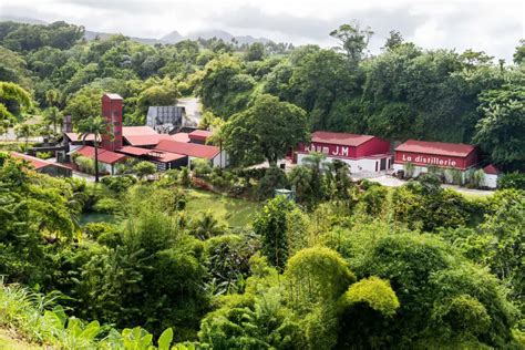 Vue aérienne de la distillerie Long Pond en Jamaïque