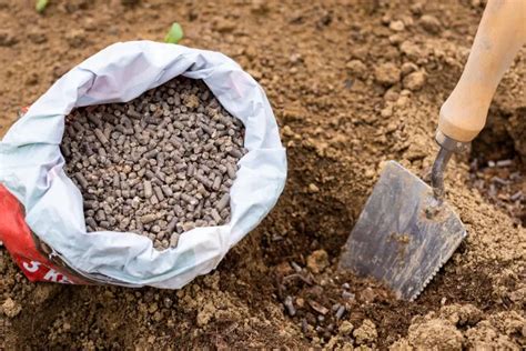 Image d'un jardin luxuriant après application de fumier granulé