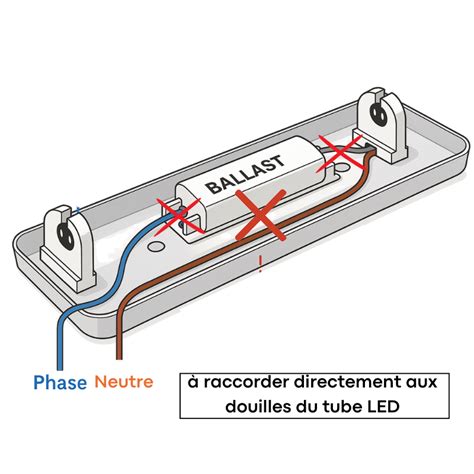 Distance optimale des néons T5 par rapport aux boutures
