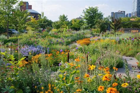 Illustration de la biodiversité urbaine dans un jardin entretenu