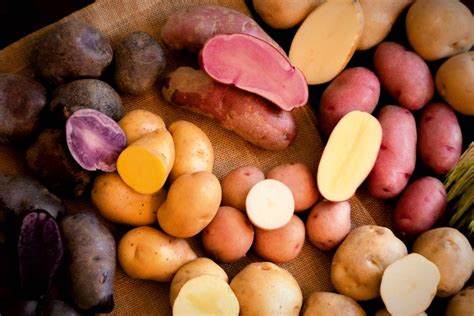 une récolte de pommes de terre de différentes variétés et couleurs