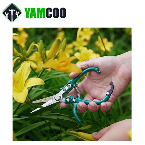 Ciseaux de jardin pour travaux de précision