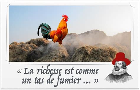 Illustration d'un coq dominant son territoire, perché sur un tas de fumier.