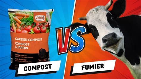 Schéma comparatif montrant la vitesse d'humification entre le BRF, le compost et le fumier
