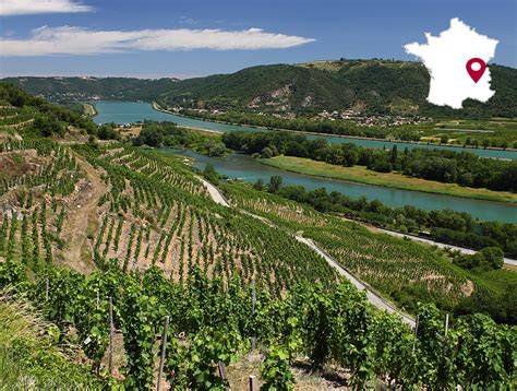 Vue panoramique d'un vignoble en Vallée du Rhône