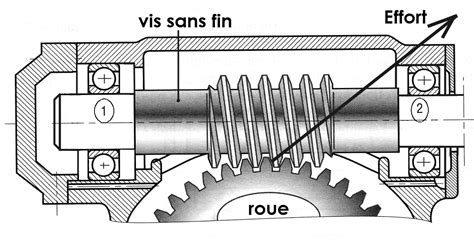 Diagramme illustrant le système de transmission à vis sans fin d'une motobineuse