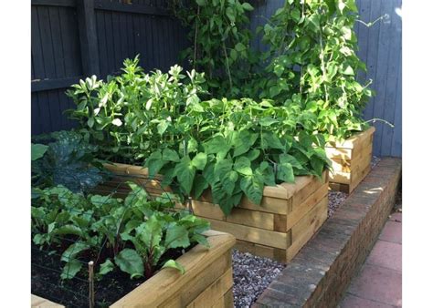 Photo d'un potager surélevé installé sur une terrasse urbaine
