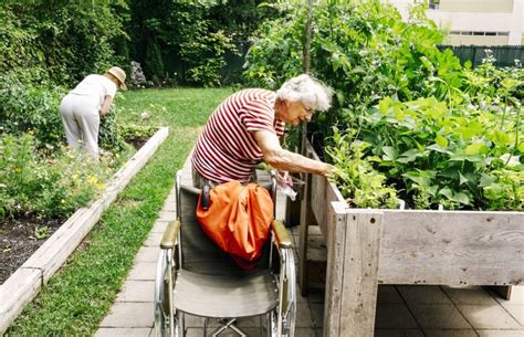personne âgée jardinant dans un potager surélevé