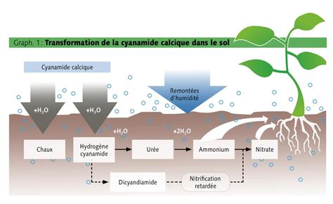 Schéma de production de la cyanamide calcique : du calcaire et charbon vers le carbure de calcium et l'azote de l'air