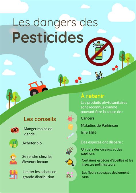 Infographie sur les alternatives écologiques aux pesticides au jardin