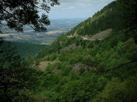 Forêts de la Montagne Noire