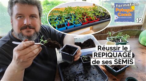 Schéma explicatif du repiquage direct d'un godet biodégradable en pleine terre.