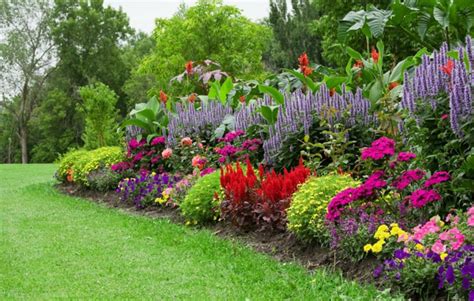 jardin paysager avec massifs de plantes vivaces variées
