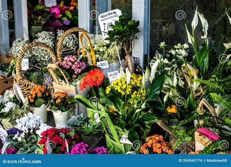 Étalage coloré de fleurs printanières sur un marché local