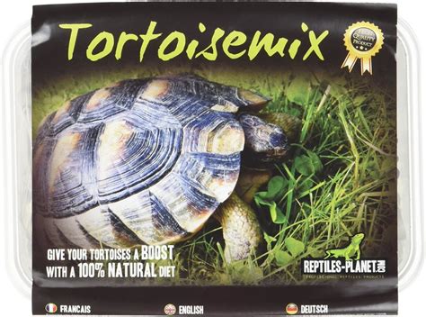 Plantes comestibles et sûres pour les tortues