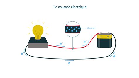 Schéma illustrant le passage du courant électrique à travers une plante adventice, des feuilles jusqu'aux racines