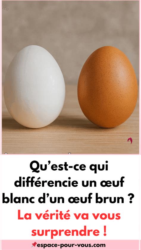 Infographie illustrant la différence entre un œuf viable et un œuf non viable
