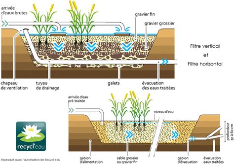 Schéma explicatif d'un système de phytoépuration avec deux bassins filtrants