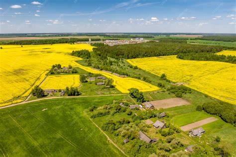 Vue aérienne des vergers et des paysages ligériens à Saint-Julien-de-Concelles