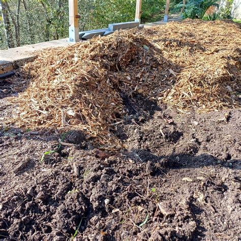 Schéma montrant l'utilisation du broyat de bois pour le paillage au potager