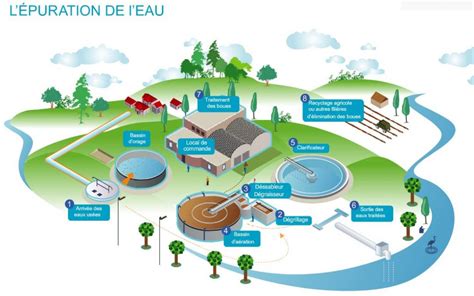 Schéma d'une grille de plantation 9x9 optimisée autour d'une source d'eau