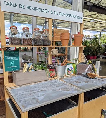 Espace de rempotage dans une jardinerie spécialisée