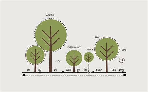 Infographie comparant les distances de plantation légales selon la hauteur des arbres