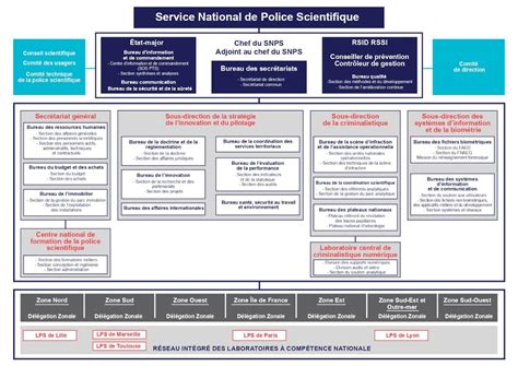 Infographie sur l'évolution des techniques de police scientifique depuis 2000