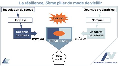 Illustration symbolique de la résilience du système judiciaire