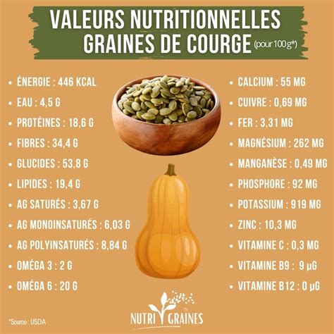 Infographie des nutriments présents dans les graines de courge