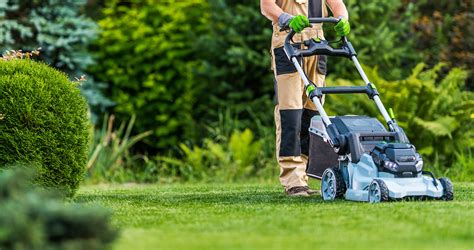 entretien de pelouse et tondeuse thermique dans un jardin