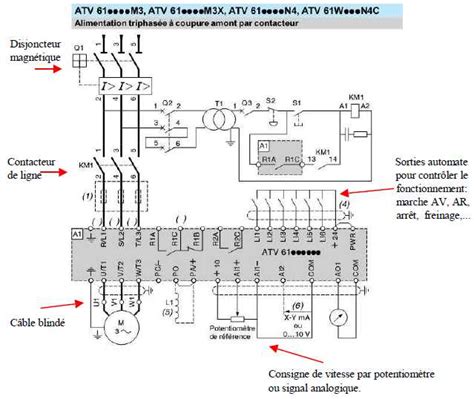 schéma technique d'une tondeuse autotractée avec variateur de vitesse