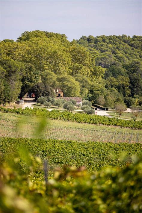 Vue panoramique du domaine viticole Château le Bastidon face aux îles d'Or