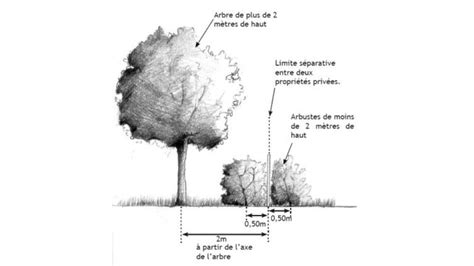 Schéma montrant la taille correcte des feuilles infectées et l'entretien des outils