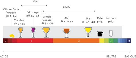 Schéma de la structure d'un vin : acidité, alcool et tannins