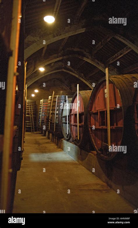 Barriques de chêne dans une cave