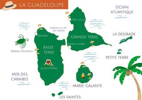 Vue panoramique d'un paysage côtier en Guadeloupe avec des figuiers de barbarie au premier plan
