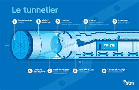 Schéma explicatif de la ligne d'égouttement et de la méthode de paillage recommandée