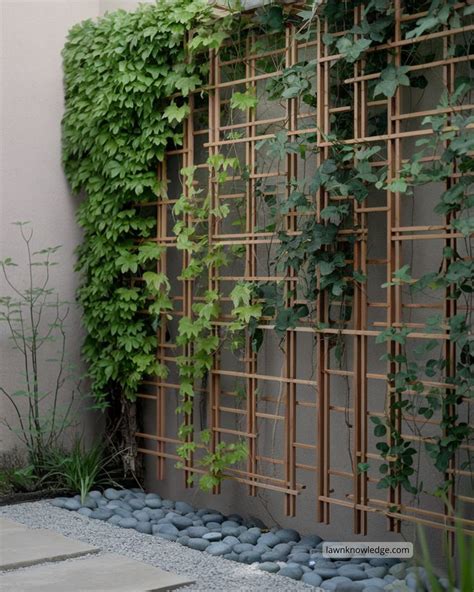treillis en noisetier dans un jardin