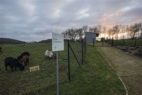 Vue panoramique des vergers de la ferme de Clairval dans Crimson Desert