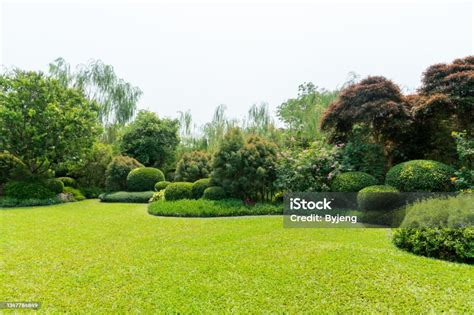 Vue panoramique d'un jardin bien entretenu à Saulxures-lès-Nancy avec pelouse tondue et arbres taillés