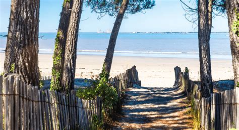 Paysage de la Charente-Maritime avec des arbres et des jardins