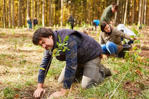 Volontaires plantant des arbres lors d'un projet communautaire