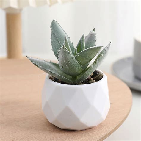 Succulentes artificielles en décoration intérieure